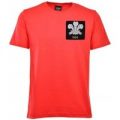 Wales Feathers 1905 Red T-Shirt